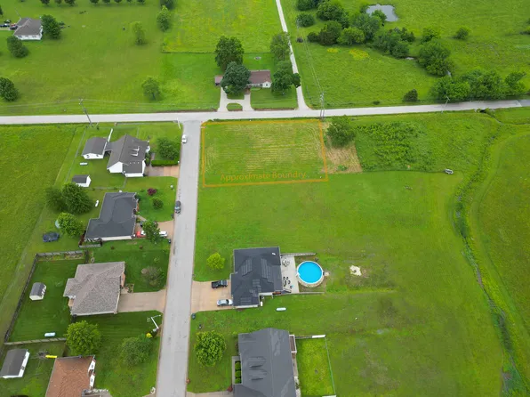 000 Holly Drive, Buffalo, MO 65622