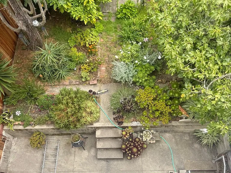 1459 Haight St #5 — Photo 26