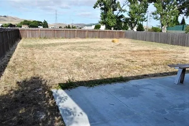 Giant Back Yard