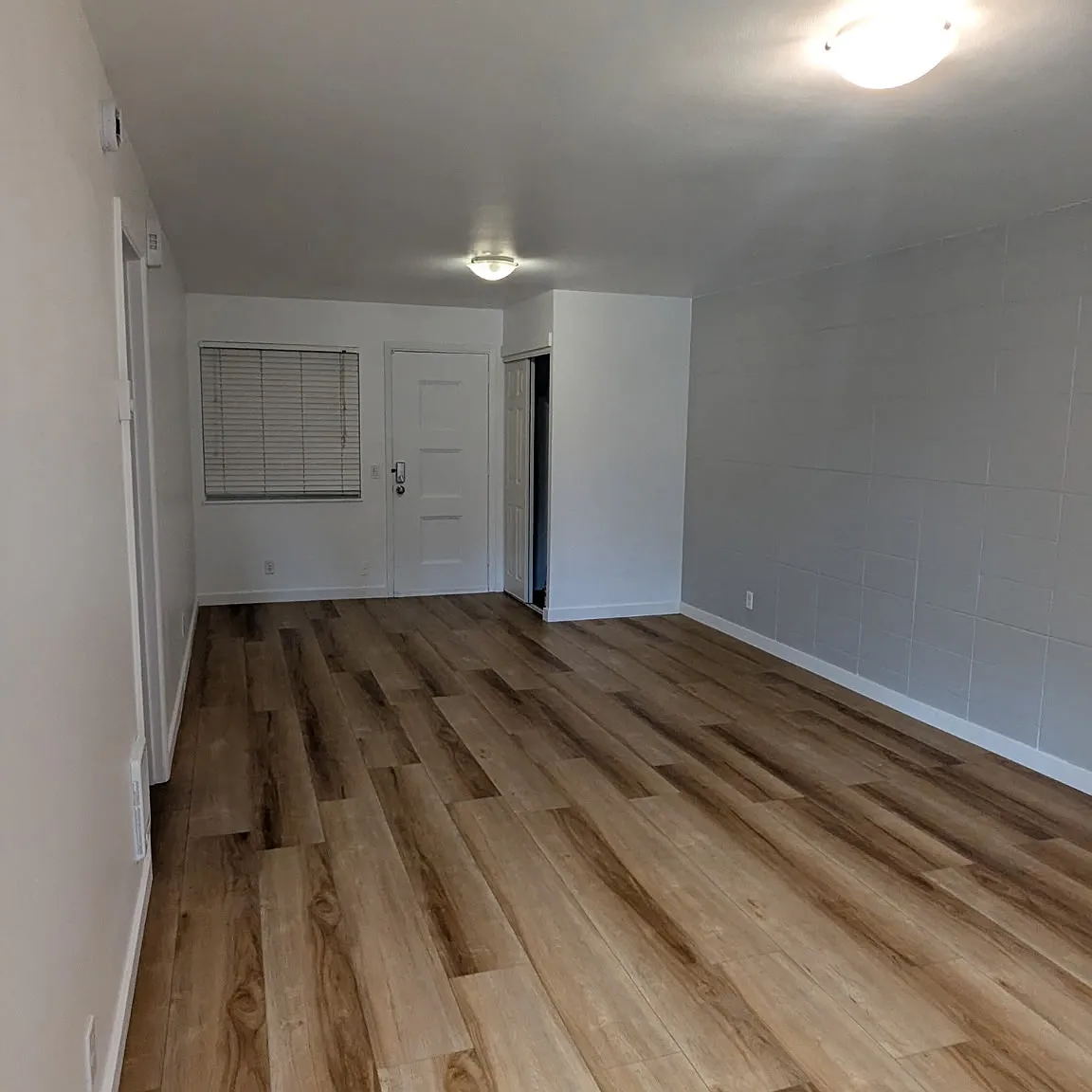 1 bed, 550 sqft, $1,325 — Photo 3