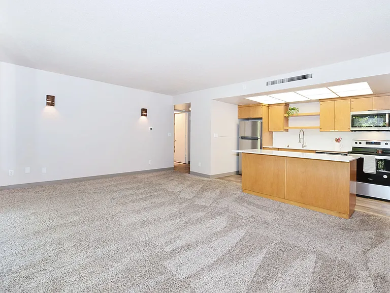 Bay Roc — Photo 39