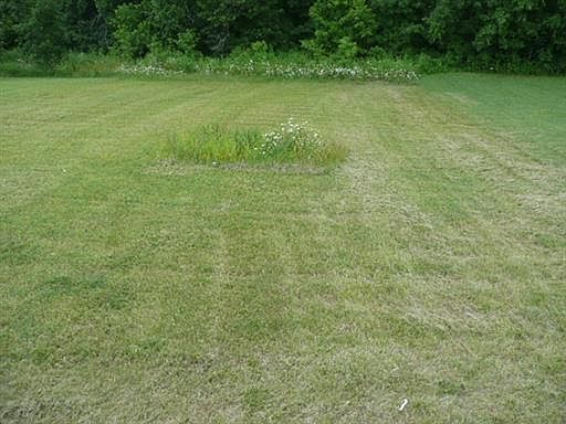 1st image of 1325 Burchett Dr