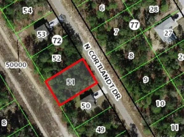 9292 N Cortlandt Dr, Citrus Springs, FL 34434