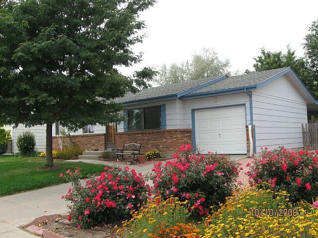 Home when roses are in bloom