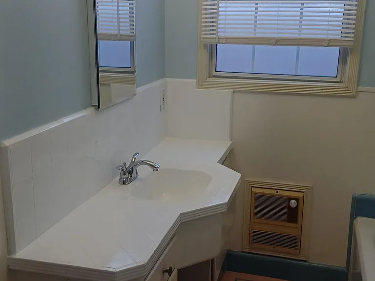Bathroom view from entry door. Bath tub, vanity, separate shower. Window faces north.