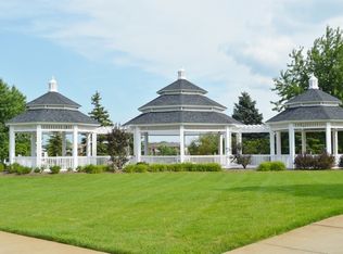 21381 English Dr, Frankfort, IL 60423