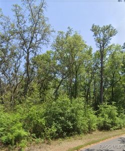 Locust Radl, Ocala, FL, 34472