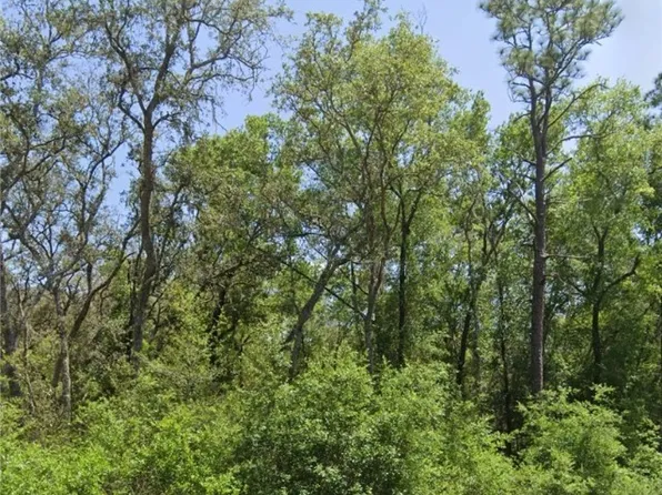 Locust Radl, Ocala, FL 34472