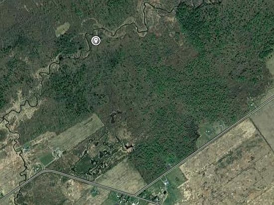 2nd image of Daly Rd