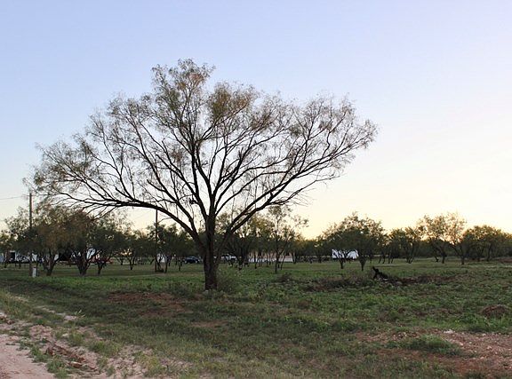 5th image of 12530 W State Highway 158