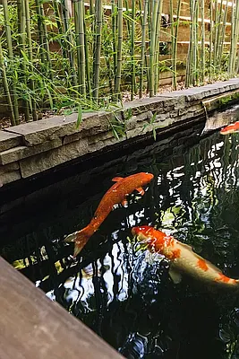 Rented by Gulia Wang, LREB | media 66