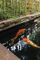 Rented by Gulia Wang, LREB