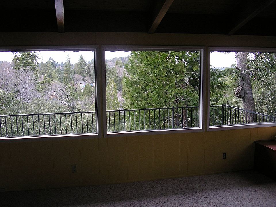 Forest and Lake Views