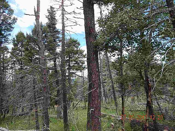 2nd image of LOT 1225 Rainbow Overlook Lot 1225