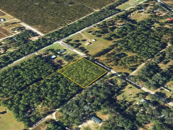 SE Alafia Ter, Lee, FL 32059