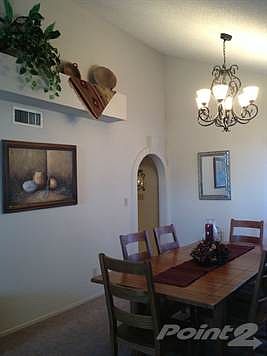 photo 5 (3)