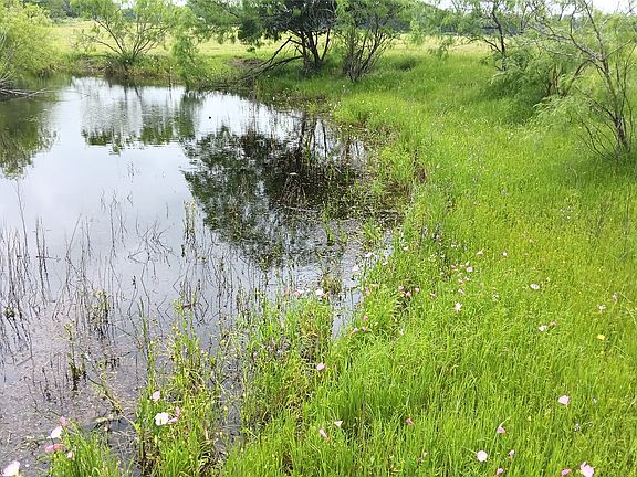 2nd image of 7 Tbd Hwy