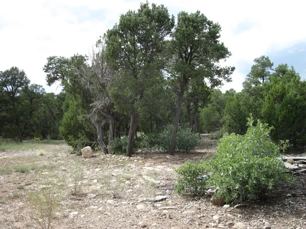 10 Vista Del Monte, Tijeras, NM 87059