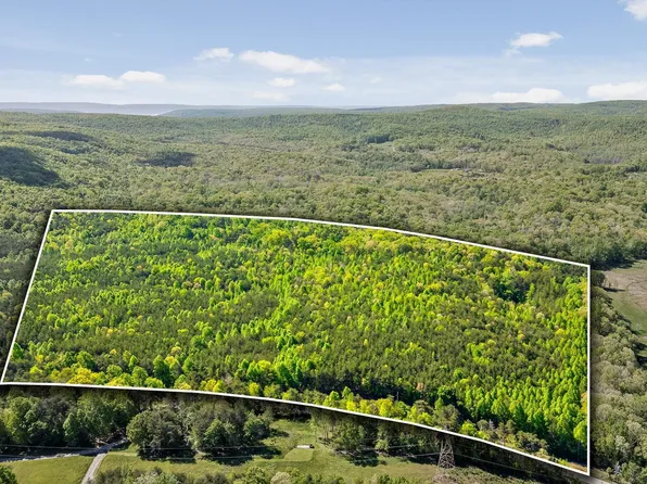 0 Daus Mountain Rd, Palmer, TN 37365