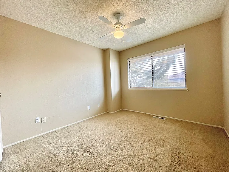 3128 Bristle Branch Dr — Photo 15