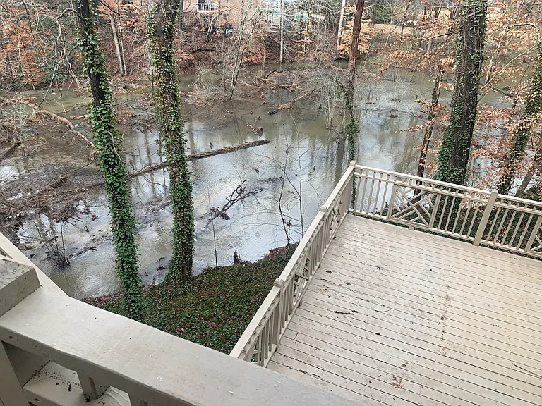 Backyard View