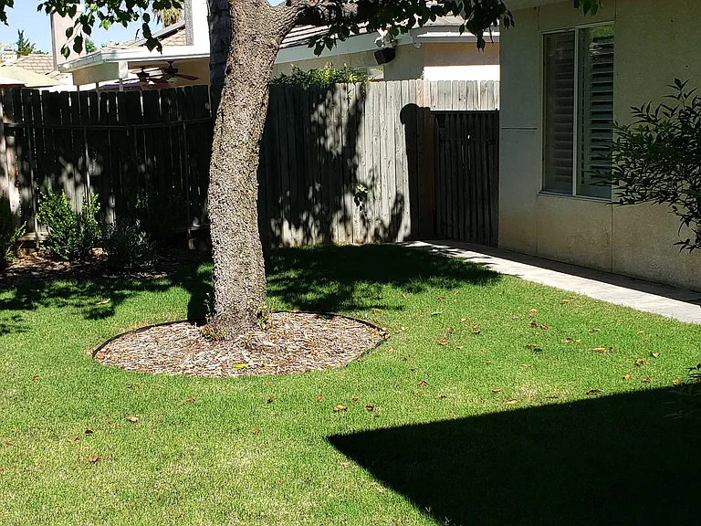 10507 Mersham Hill Dr — Photo 10