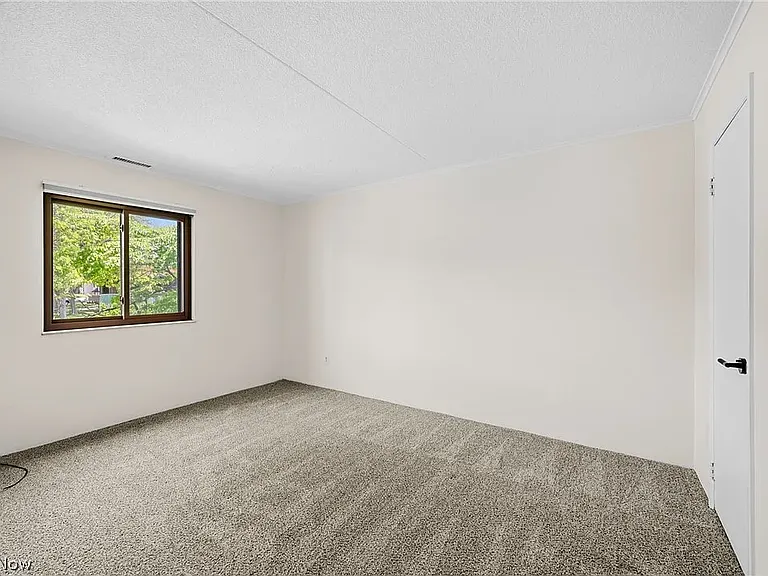 9956 Johnnycake Ridge Rd #N7 — Photo 17