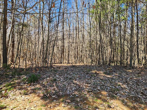 3rd image of Starlight Ridge Cir #62