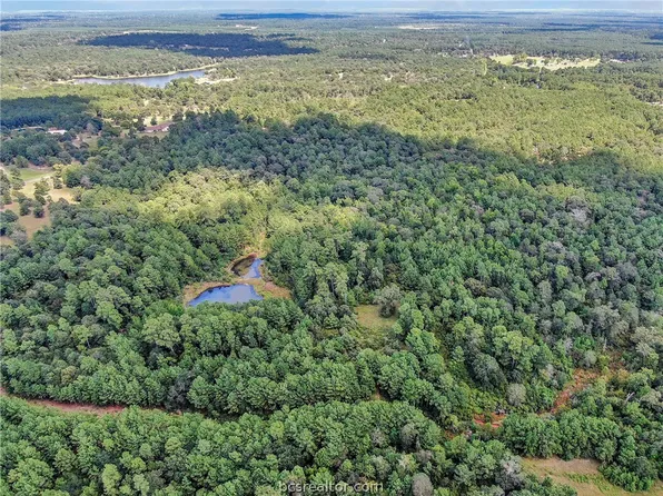 89 County Road 302, Plantersville, TX 77363