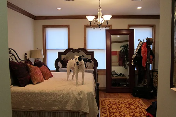 Rented by Avi Nash Associates | media 14