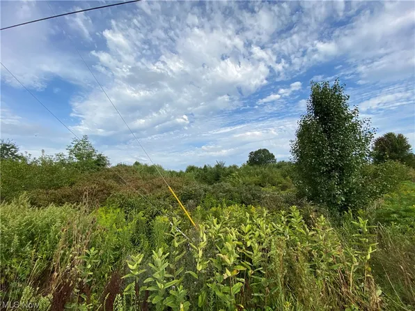 2181 Miller Graber Rd, Newton Falls, OH 44444