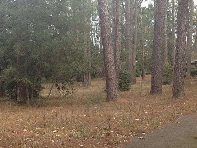 2nd image of 504 Henderson Dr