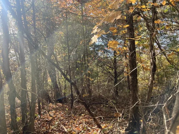5 Clyde Webb Rd, Tennessee Ridge, TN 37178