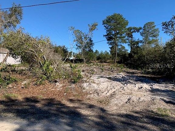 4th image of 835 Palmetto Ave