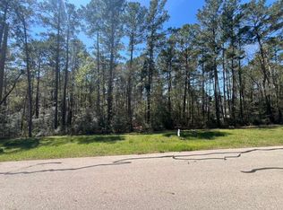 0 Sandpiper Dr Lot 22, New Waverly, TX 77358