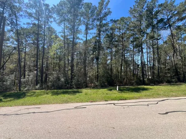 0 Sandpiper Dr Lot 22, New Waverly, TX 77358