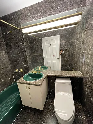 Rented by Voro NYC | media 8