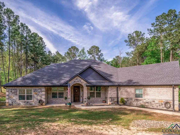 315 Bralan Dr, Diana, TX 75640