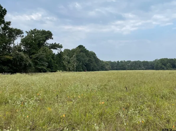 Acr 336, Palestine, TX 75801