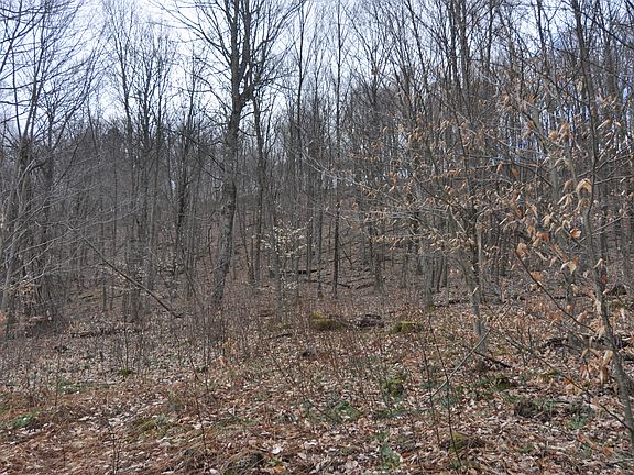 5th image of Rear Twp Lot Wp001-782