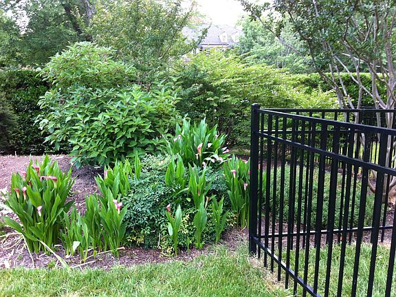 Side yard flower bed