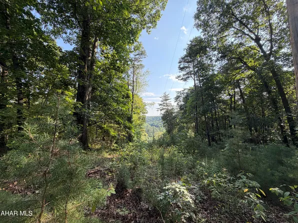 243 Swinging Bridge Rd, Hollidaysburg, PA 16648