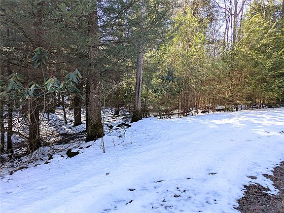 3rd image of 160 Mill Run School Rd