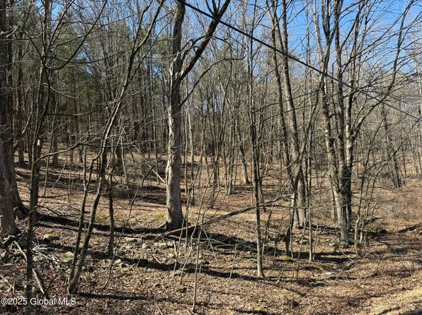 L17.24 Tsatsawassa Lake Road, East Nassau, NY 12062