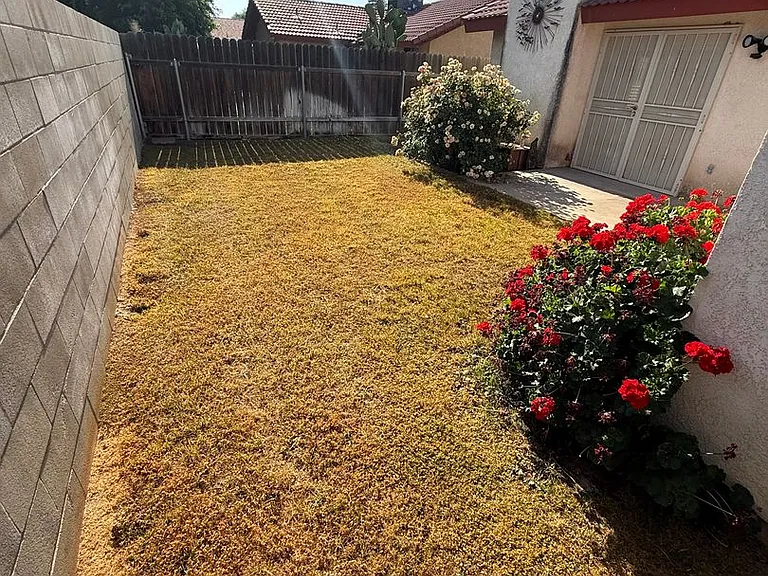 4212 Cyclone Dr — Photo 14