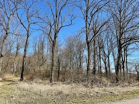2nd image of 0 N County Road 1330 E