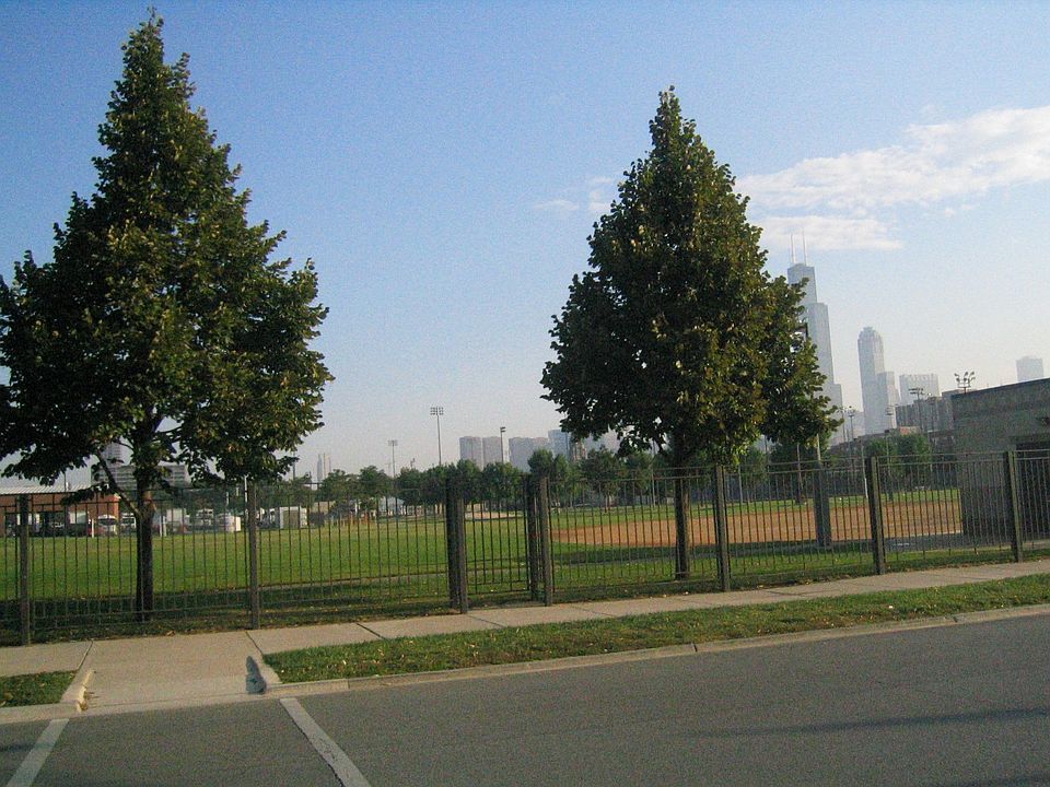 UIC park across the street