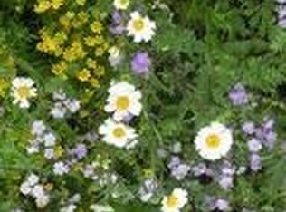 S Ridge Rd, Rainbow City, AL 35906