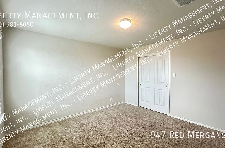 947 Red Merganser — Photo 20