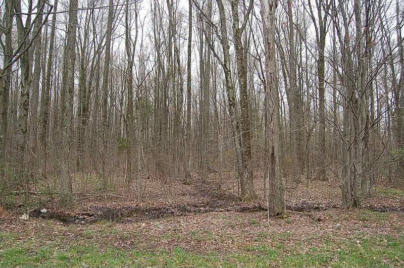 1st image of 221 Henderson Rd